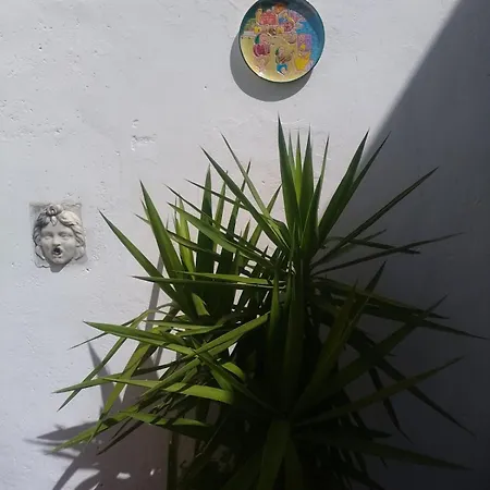 Al Fontanino Rent House In Amalfi Coast Nyaraló Albori